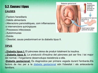 5.2. Causes i tipus
CAUSES

- Factors hereditaris
- Hàbits alimentaris
- Alteracions pancreàtiques, com inflamacions
 o intervencions quirúrgiques
- Processos infecciosos
- Autoimmunes
- Estrès
- Obesitat, causa predominant en la diabetis tipus II.

TIPUS

- Diabetis tipus I: El pàncrees deixa de produir totalment la insulina.
- Diabetis tipus II: La producció d'insulina del pàncrees pot ser fins i tot major
del normal, i l'organisme desenvolupa resistència a ella.
-Diabetis gestacional: Es diagnostica per primera vegada durant l'embaràs.Els
factors de risc per a la diabetis gestacional són l'obesitat i els antecedents
familiars.
 