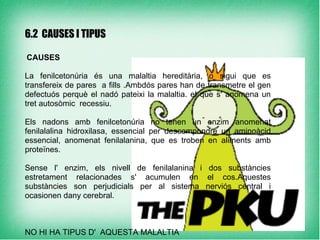 6.2 CAUSES I TIPUS

CAUSES

La fenilcetonúria és una malaltia hereditària, o sigui que es
transfereix de pares a fills .Ambdós pares han de transmetre el gen
defectuós perquè el nadó pateixi la malaltia. el que s' anomena un
tret autosòmic recessiu.

Els nadons amb fenilcetonúria no tenen un enzim anomenat
fenilalalina hidroxilasa, essencial per descompondre un aminoàcid
essencial, anomenat fenilalanina, que es troben en aliments amb
proteïnes.

Sense l' enzim, els nivell de fenilalanina i dos substàncies
estretament relacionades s' acumulen en el cos.Aquestes
substàncies son perjudicials per al sistema nerviós central i
ocasionen dany cerebral.



NO HI HA TIPUS D' AQUESTA MALALTIA
 