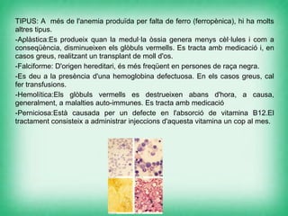 TIPUS: A més de l'anemia produïda per falta de ferro (ferropènica), hi ha molts
altres tipus.
-Aplàstica:Es produeix quan la medul·la òssia genera menys cèl·lules i com a
conseqüència, disminueixen els glòbuls vermells. Es tracta amb medicació i, en
casos greus, realitzant un transplant de moll d'os.
-Falciforme: D'origen hereditari, és més freqüent en persones de raça negra.
-Es deu a la presència d'una hemoglobina defectuosa. En els casos greus, cal
fer transfusions.
-Hemolítica:Els glòbuls vermells es destrueixen abans d'hora, a causa,
generalment, a malalties auto-immunes. Es tracta amb medicació
-Perniciosa:Està causada per un defecte en l'absorció de vitamina B12.El
tractament consisteix a administrar injeccions d'aquesta vitamina un cop al mes.
 