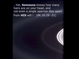 … Yet,  Someone  knows how many hairs are on your head, and not even a single sparrow dies apart  from  HIS  will !  (Mt 10:29 -31)  