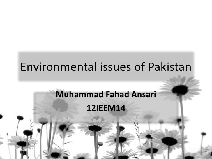 environmental problems in pakistan essay