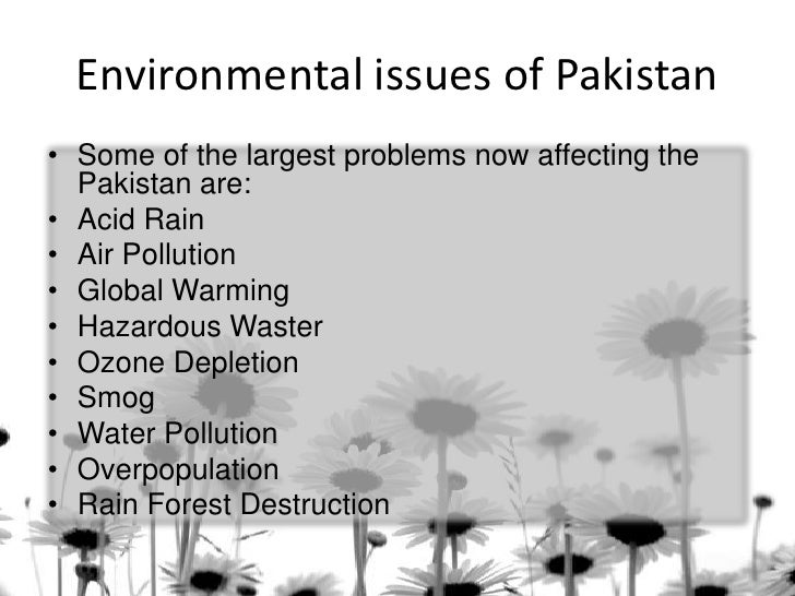 Environmental problems and solutions essay
