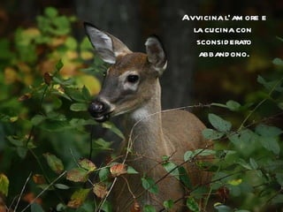 Avvicina l’amore e la cucina con  sconsiderato abbandono. 