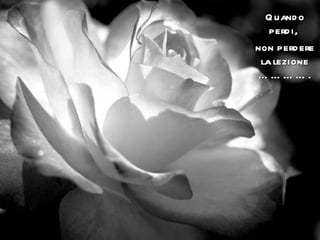 Quando perdi,  non perdere la lezione …………. 