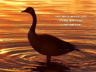 Impara le regole così potrai romperle correttamente. 