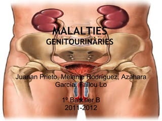MALALTIES
         GENITOURINÀRIES



Juanan Prieto, Melanie Rodríguez, Azahara
            García, Fallou Lo

              1º Batxiller B
               2011-2012
 
