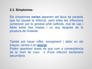 2.3. Símptomes:

Els símptomes varien depenen del tipus de paràsits
que ha causat la infecció, però totes les infeccions
comencen per lo general amb calfreds, mal de cap i
febre entre tres mesos i un any després de la
picadura de l'insecte.


També pot haver inflor, enrogiment i dolor en els
braços, cames o en escrot.
Poden aparèixer àrees de pus com a conseqüència
de la mort de cucs o d'una infecció bacteriana
secundària.
 