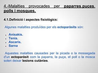4.-Malalties provocades per             paparres,puces,
polls i mosques.

4.1.Definició i aspectes fisiològics:

Algunes malalties produïdes per els ectoparàsits són:

 ●   Anisakis.
 ●   Tenia.
 ●   Ascaris.
 ●   Sarna

 Aquestes malalties causades per la picada o la mossegada
d'un ectoparàsit com la paparra, la puça, el poll o la mosca
solen deixar lesions cutànies.
 