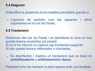 5.4.Diagnosi:

S'identifica la presencia d'una malaltia parasitària gracies a:

 ●   L'aparició de paràsits com les         paparres    i   altres
     organismes en el cos de l'hoste.

5.5.Tractament:

S'extreuen del cos de l'hoste i es desinfecta la zona on han
quedat lesions produïdes pel paràsit.
Si no hi ha infecció no s'aplica cap tractament específic .
Si han quedat lesions inflamades o infectades:

 ●   Es desinfecten i s'aplica un tractament que es basa en
     antiinflamatoris o antihistamínics tópics.

Finalment s'ha de mantenir la lesió tapada amb una tovallola
 