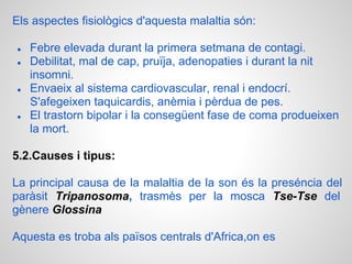 Els aspectes fisiològics d'aquesta malaltia són:

●   Febre elevada durant la primera setmana de contagi.
●   Debilitat, mal de cap, pruïja, adenopaties i durant la nit
    insomni.
●   Envaeix al sistema cardiovascular, renal i endocrí.
    S'afegeixen taquicardis, anèmia i pèrdua de pes.
●   El trastorn bipolar i la consegüent fase de coma produeixen
    la mort.

5.2.Causes i tipus:

La principal causa de la malaltia de la son és la preséncia del
paràsit Tripanosoma, trasmès per la mosca Tse-Tse del
gènere Glossina

Aquesta es troba als països centrals d'Africa,on es
 