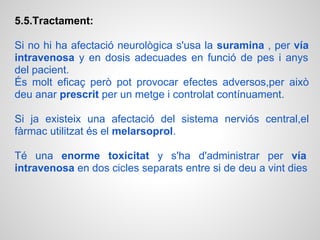 5.5.Tractament:

Si no hi ha afectació neurològica s'usa la suramina , per vía
intravenosa y en dosis adecuades en funció de pes i anys
del pacient.
És molt eficaç però pot provocar efectes adversos,per això
deu anar prescrit per un metge i controlat contínuament.

Si ja existeix una afectació del sistema nerviós central,el
fàrmac utilitzat és el melarsoprol.

Té una enorme toxicitat y s'ha d'administrar per vía
intravenosa en dos cicles separats entre si de deu a vint dies
 