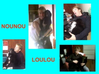 NOUNOU LOULOU 