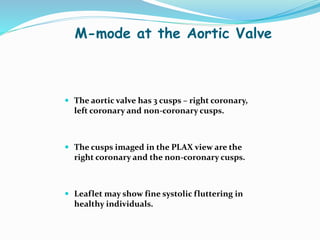 M-mode at the Aortic Valve
 The aortic valve has 3 cusps – right coronary,
left coronary and non-coronary cusps.
 The cusps imaged in the PLAX view are the
right coronary and the non-coronary cusps.
 Leaflet may show fine systolic fluttering in
healthy individuals.
 