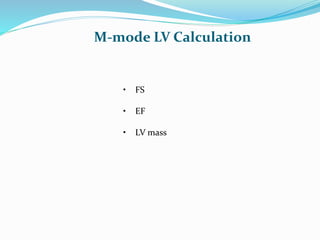 • FS
• EF
• LV mass
M-mode LV Calculation
 