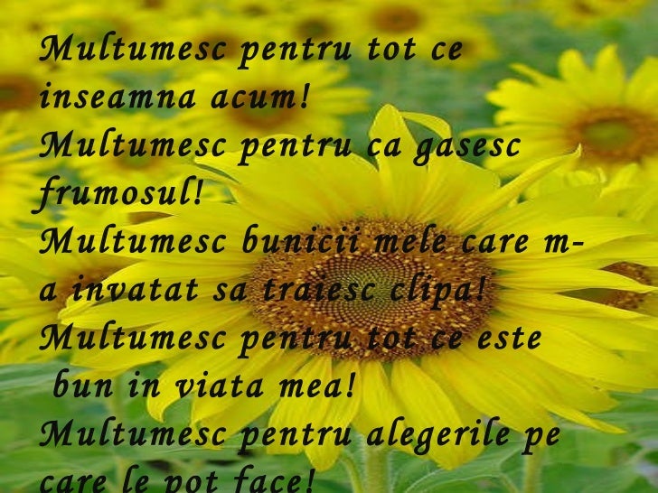 M Net Multumiri Matasari