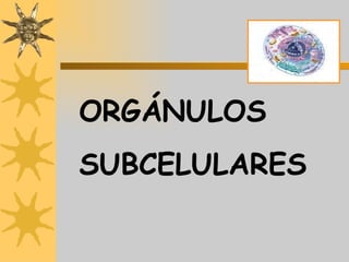 ORGÁNULOS SUBCELULARES 