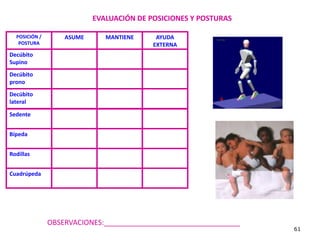 EVALUACIÓN DE POSICIONES Y POSTURAS

  POSICIÓN /       ASUME      MANTIENE     AYUDA
   POSTURA                                EXTERNA
Decúbito
Supino
Decúbito
prono
Decúbito
lateral

Sedente


Bípeda


Rodillas


Cuadrúpeda




               OBSERVACIONES:__________________________________
                                                                  61
 