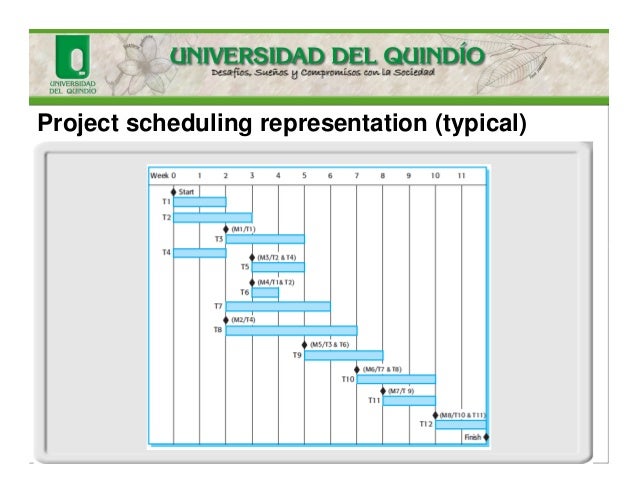 software project schedule