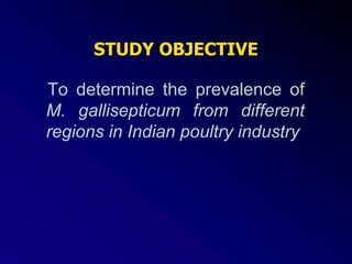To determine the prevalence of
M. gallisepticum from different
regions in Indian poultry industry
STUDY OBJECTIVE
 