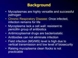 Background
• Mycoplasmas are highly versatile and successful
pathogen
• Chronic Respiratory Disease: Once infected,
infection remains for life
• Mycoplasma lack a cell wall: resistant to
penicillin group of antibiotics
• Antimicoplasmal drugs are bacteriostatic
• Antibodies can not eliminate infection
• Field infection (MG/MS) level is high due to
vertical transmission and low level of biosecurity
• Raising mycoplasma clean flocks is not
practicable
 