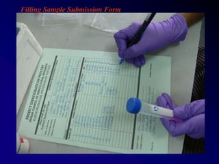 Filling Sample Submission Form
 