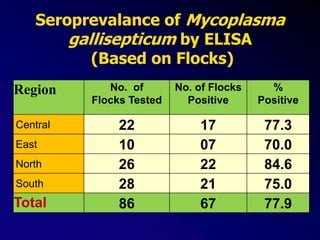 Seroprevalance of Mycoplasma
gallisepticum by ELISA
(Based on Flocks)
Region No. of
Flocks Tested
No. of Flocks
Positive
%
Positive
Central 22 17 77.3
East 10 07 70.0
North 26 22 84.6
South 28 21 75.0
Total 86 67 77.9
 