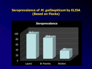 Seroprevalance of M. gallisepticum by ELISA
(Based on Flocks)
0
20
40
60
80
100
Layers Br Parents Broilers
91.7
77.5
30
Seroprevalence
 