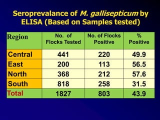 Seroprevalance of M. gallisepticum by
ELISA (Based on Samples tested)
Region No. of
Flocks Tested
No. of Flocks
Positive
%
Positive
Central 441 220 49.9
East 200 113 56.5
North 368 212 57.6
South 818 258 31.5
Total 1827 803 43.9
 
