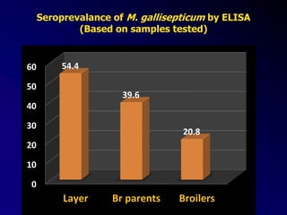 0
10
20
30
40
50
60
Layer Br parents Broilers
54.4
39.6
20.8
Seroprevalance of M. gallisepticum by ELISA
(Based on samples tested)
 
