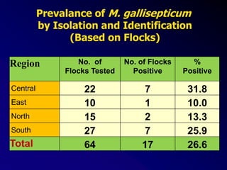 Prevalance of M. gallisepticum
by Isolation and Identification
(Based on Flocks)
Region No. of
Flocks Tested
No. of Flocks
Positive
%
Positive
Central 22 7 31.8
East 10 1 10.0
North 15 2 13.3
South 27 7 25.9
Total 64 17 26.6
 