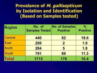 Prevalance of M. gallisepticum
by Isolation and Identification
(Based on Samples tested)
Region No. of
Samples Tested
No. of Samples
Positive
%
Positive
Central 440 82 18.6
East 200 2 1.0
North 284 5 1.8
South 791 89 11.3
Total 1715 178 10.4
 