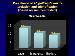 Prevalance of M. gallisepticum by
Isolation and Identification
(Based on samples tested)
0
5
10
15
Layer Br parents Broilers
12.5
9.2
7.9
MG prevelance
 