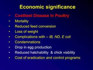 • Costliest Disease in Poultry
• Mortality
• Reduced feed conversion
• Loss of weight
• Complications with – IB, ND, E coli
• Condemnations
• Drop in egg production
• Reduced hatchability & chick viability
• Cost of eradication and control programs
Economic significance
 