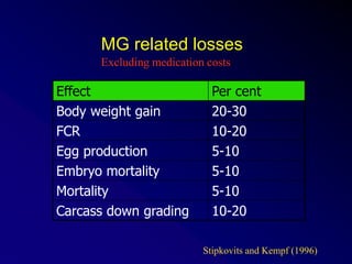 MG related losses
Effect Per cent
Body weight gain 20-30
FCR 10-20
Egg production 5-10
Embryo mortality 5-10
Mortality 5-10
Carcass down grading 10-20
Excluding medication costs
Stipkovits and Kempf (1996)
 