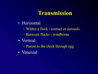 Transmission
• Horizontal
– Within a flock - contact or aerosols
– Between flocks - windborne
• Vertical
– Parent to the chick through egg
• Venereal
 