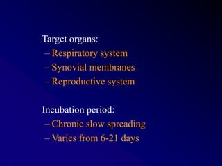 Target organs:
– Respiratory system
– Synovial membranes
– Reproductive system
Incubation period:
– Chronic slow spreading
– Varies from 6-21 days
 