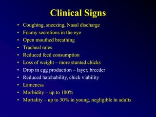 Clinical Signs
• Coughing, sneezing, Nasal discharge
• Foamy secretions in the eye
• Open mouthed breathing
• Tracheal rales
• Reduced feed consumption
• Loss of weight – more stunted chicks
• Drop in egg production – layer, breeder
• Reduced hatchability, chick viability
• Lameness
• Morbidity – up to 100%
• Mortality – up to 30% in young, negligible in adults
 