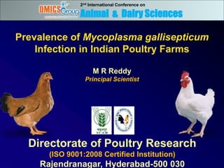 Directorate of Poultry Research
(ISO 9001:2008 Certified Institution)
Rajendranagar, Hyderabad-500 030
Prevalence of Mycoplasma gallisepticum
Infection in Indian Poultry Farms
M R Reddy
Principal Scientist
2nd International Conference on
Animal & Dairy Sciences
 
