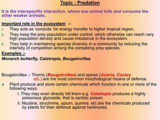 Topic : Predation
It is the interspecific interaction, where one animal kills and consume the
other weaker animals.
Important role in the ecosystem :-
1. They acts as ‘conduits’ for energy transfer to higher tropical region.
2. They keep the prey population under control, which otherwise can reach very
high population density and cause imbalance in the ecosystem.
3. They help in maintaining species diversity in a community by reducing the
intensity of competition among the competing prey species.
Examples ;-
Monarch butterfly, Calotropis, Bougainvillea.
Bougainvillea :- Thorns (Bougainvillea) and spines (Acacia, Cactus
etc.) are the most common morphological means of defence.
 Plant produce and store certain chemicals which function in one or more of the
following ways.
i. They may even directly kill them e.g. Calotropis produces a highly
poisonous glycoside, that is cardiac poison.
ii. Nicotine, strychnine, opium, quinine, etc are the chemicals produced
by plants for their defence against herbivores.
 
