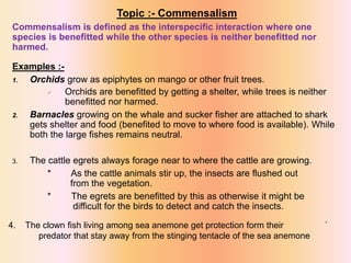 Topic :- Commensalism
Commensalism is defined as the interspecific interaction where one
species is benefitted while the other species is neither benefitted nor
harmed.
Examples :-
1. Orchids grow as epiphytes on mango or other fruit trees.
 Orchids are benefitted by getting a shelter, while trees is neither
benefitted nor harmed.
2. Barnacles growing on the whale and sucker fisher are attached to shark
gets shelter and food (benefited to move to where food is available). While
both the large fishes remains neutral.
3. The cattle egrets always forage near to where the cattle are growing.
* As the cattle animals stir up, the insects are flushed out
from the vegetation.
* The egrets are benefitted by this as otherwise it might be
difficult for the birds to detect and catch the insects.
4. The clown fish living among sea anemone get protection form their `
predator that stay away from the stinging tentacle of the sea anemone
 