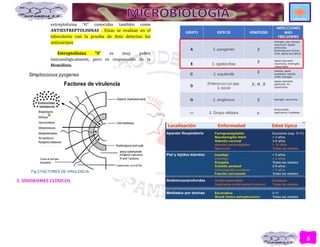 5
estreptolisina “O” conocidas también como
ANTIESTREPTOLISINAS . Estas se evalúan en el
laboratorio con la prueba de Asto detectan los
anticuerpos
Estreptolisina “S” es muy pobre
inmunológicamente, pero es responsable de la
Hemólisis.
3. SÍNDROMES CLÍNICOS
Fig.3 FACTORES DE VIRULENCIA
 
