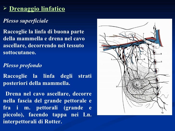Linee Guida Lesioni B3 Mammella M.remedi, la chirurgia del carcinoma della mammella