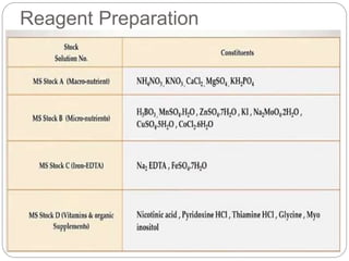 Reagent Preparation
 