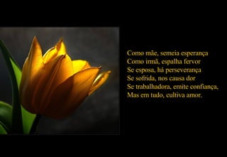 Como mãe, semeia esperança Como irmã, espalha fervor Se esposa, há perseverança Se sofrida, nos causa dor Se trabalhadora, emite confiança, Mas em tudo, cultiva amor. 