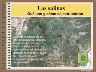 Las salinas Qué son y cómo se estructuran Javier Delgado Cuando hablamos de las salinas gaditanas, estamos hablando de toda una industria dirigida a la obtención de sal marina en grandes cantidades y como tal, requiere de una infraestructura para poder desarrollarla.  IR A TEXTO 