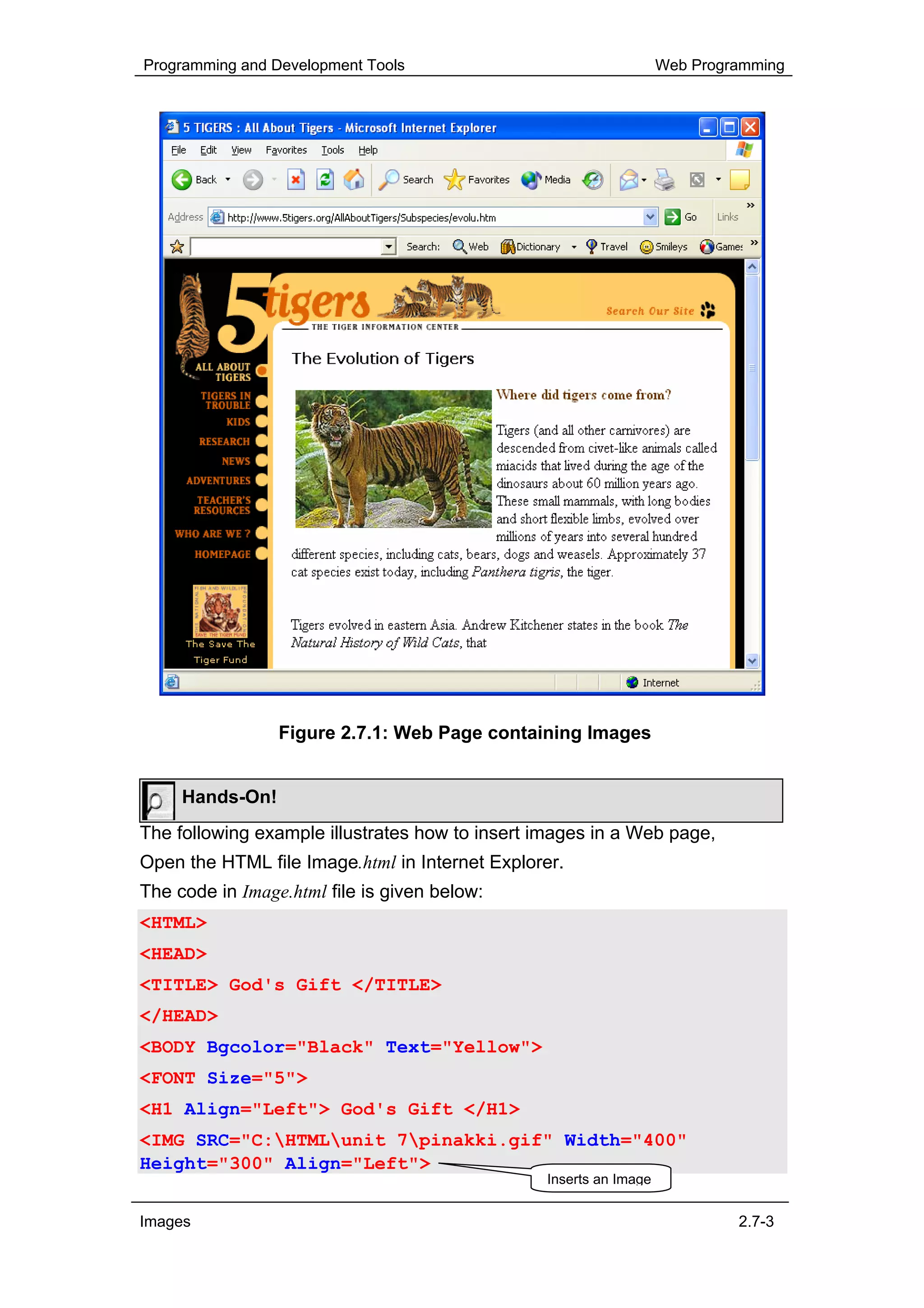 Programming and Development Tools                                  Web Programming




                 Figure 2.7.1: Web Page containing Images


     Hands-On!
The following example illustrates how to insert images in a Web page,
Open the HTML file Image.html in Internet Explorer.
The code in Image.html file is given below:
<HTML>
<HEAD>
<TITLE> God's Gift </TITLE>
</HEAD>
<BODY Bgcolor="Black" Text="Yellow">
<FONT Size="5">
<H1 Align="Left"> God's Gift </H1>
<IMG SRC="C:HTMLunit 7pinakki.gif" Width="400"
Height="300" Align="Left">
                                                Inserts an Image


Images                                                                      2.7-3
 