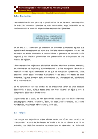 © Copyright. UPC / Fundació Politècnica de Catalunya - Todos los derechos reservados
21
Área: Prevención / Módulo 3. Higiene industrial
3.3.1 Endotoxinas
Las endotoxinas forman parte de la pared celular de las bacterias Gram negativo.
Se trata de sustancias químicas de tipo liposacáridos, cuya inhalación se ha
relacionado con la aparición de problemas respiratorios y generales.
En el año 1713 Ramazzini ya describió los síntomas pulmonares agudos que
aparecen tras la respiración de polvo que contiene residuos vegetales. En 1942 se
estableció de forma fehaciente la relación entre la presencia de bacterias Gram
negativo y los síntomas pulmonares que presentaban los trabajadores de una
hilatura de algodón.
Las bacterias Gram negativo se encuentran de forma natural en el medio ambiente,
en particular en los vegetales y especialmente en la planta de algodón. Otro hábitat
habitual son las aguas estancadas en las que se multiplican rápidamente. Estas
bacterias tienen pocos requisitos nutricionales y les basta con trazas de sales
minerales. Algunos ejemplos son: Pseudomonas sp., Enterobacter sp., Salmonella
sp. o Escherichia coli.
Se ha comprobado que los efectos de las endotoxinas varían de unas especies
bacterianas a otras, aunque todas ellas son muy solubles en agua y que la
temperatura potencia su efecto tóxico.
Dependiendo de la dosis, se han demostrado efectos que van desde síndromes
pseudogripales (fiebre, escalofríos, dolor, tos seca, presión torácica, etc.) hasta
hipertensión, coagulación intravascular y shock letal.
3.4 Hongos
Los hongos son organismos cuyas células tienen un núcleo que encierra los
cromosomas. La célula de los hongos es similar a las de las plantas y las de los
animales, con todos los orgánulos necesarios para su desarrollo. La célula está
 