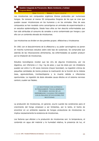 © Copyright. UPC / Fundació Politècnica de Catalunya - Todos los derechos reservados
24
Área: Prevención / Módulo 3. Higiene industrial
Las micotoxinas son compuestos orgánicos tóxicos producidos por numerosos
hongos. Se conocen al menos 50 compuestos fúngicos de los que se cree que
pueden causar micotoxicosis en los humanos y en los animales. Diez de esos
compuestos se han revelado como cancerígenos en animales de experimentación o
en estudios epidemiológicos. Desde hace años se han descrito enfermedades que
han sido atribuidas al consumo de cereales o arroz contaminado por hongos y por
ello con un contenido elevado de micotoxinas.
Las micotoxinas se dividen en dos grandes grupos: aflatoxinas y tricotecenos
En 1961 con el descubrimiento de la aflatoxina y su poder carcinogénico se ponen
en marcha numerosos estudios sobre este tipo de sustancias. Se comprueba que
además de las intoxicaciones alimentarias, las enfermedades se pueden producir
por la inhalación de micotoxinas.
Estudios toxicológicos revelan que las LD50 de algunos tricotecenos, por vía
digestiva, son inferiores a 1 mg / kg de peso; y que las dosis por vía inhalatoria
pueden ser entre 2 y 20 veces menores (mayor toxicidad). La ingestión crónica de
pequeñas cantidades de toxina produce la inactivación de la función de la médula
ósea, agranulocitosis, trombocitopenia y la muerte debida a infecciones
oportunistas. La ingestión de dosis elevadas causa efectos en el sistema nervioso
central y suelen ser fatales.
La producción de micotoxinas, en general, ocurre cuando las condiciones para el
crecimiento del hongo empiezan a ser limitantes, por lo tanto, el hecho de
encontrar en un ambiente especies de hongos productoras de micotoxinas no
implica necesariamente la existencia de micotoxinas.
Los factores que afectan a la producción de micotoxinas son: la temperatura, el
contenido en agua del material y la humedad relativa, la presencia de luz, el
 