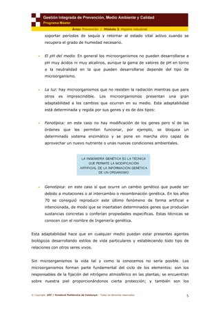 © Copyright. UPC / Fundació Politècnica de Catalunya - Todos los derechos reservados
5
Área: Prevención / Módulo 3. Higiene industrial
soportar períodos de sequía y retornar al estado vital activo cuando se
recupera el grado de humedad necesario.
• El pH del medio: En general los microorganismos no pueden desarrollarse a
pH muy ácidos ni muy alcalinos, aunque la gama de valores de pH en torno
a la neutralidad en la que pueden desarrollarse depende del tipo de
microorganismo.
• La luz: hay microorganismos que no resisten la radiación mientras que para
otros es imprescindible. Los microorganismos presentan una gran
adaptabilidad a los cambios que ocurren en su medio. Esta adaptabilidad
está determinada y regida por sus genes y es de dos tipos:
• Fenotípica: en este caso no hay modificación de los genes pero sí de las
órdenes que les permiten funcionar, por ejemplo, se bloquea un
determinado sistema enzimático y se pone en marcha otro capaz de
aprovechar un nuevo nutriente o unas nuevas condiciones ambientales.
• Genotípica: en este caso sí que ocurre un cambio genético que puede ser
debido a mutaciones o al intercambio o recombinación genética. En los años
70 se consiguió reproducir este último fenómeno de forma artificial e
intencionada, de modo que se insertaban determinados genes que producían
sustancias concretas o conferían propiedades específicas. Estas técnicas se
conocen con el nombre de Ingeniería genética.
Esta adaptabilidad hace que en cualquier medio puedan estar presentes agentes
biológicos desarrollando estilos de vida particulares y estableciendo todo tipo de
relaciones con otros seres vivos.
Sin microorganismos la vida tal y como la conocemos no sería posible. Los
microorganismos forman parte fundamental del ciclo de los elementos: son los
responsables de la fijación del nitrógeno atmosférico en las plantas; se encuentran
sobre nuestra piel proporcionándonos cierta protección; y también son los
 