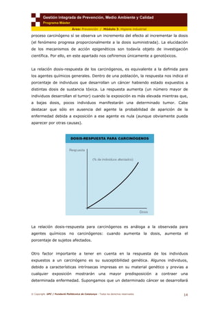© Copyright. UPC / Fundació Politècnica de Catalunya - Todos los derechos reservados
14
Área: Prevención / Módulo 3. Higiene industrial
proceso carcinógeno sí se observa un incremento del efecto al incrementar la dosis
(el fenómeno progresa proporcionalmente a la dosis suministrada). La elucidación
de los mecanismos de acción epigenéticos son todavía objeto de investigación
científica. Por ello, en este apartado nos ceñiremos únicamente a genotóxicos.
La relación dosis-respuesta de los carcinógenos, es equivalente a la definida para
los agentes químicos generales. Dentro de una población, la respuesta nos indica el
porcentaje de individuos que desarrollan un cáncer habiendo estado expuestos a
distintas dosis de sustancia tóxica. La respuesta aumenta (un número mayor de
individuos desarrollan el tumor) cuando la exposición es más elevada mientras que,
a bajas dosis, pocos individuos manifestarán una determinado tumor. Cabe
destacar que sólo en ausencia del agente la probabilidad de aparición de la
enfermedad debida a exposición a ese agente es nula (aunque obviamente pueda
aparecer por otras causas).
La relación dosis-respuesta para carcinógenos es análoga a la observada para
agentes químicos no carcinógenos: cuando aumenta la dosis, aumenta el
porcentaje de sujetos afectados.
Otro factor importante a tener en cuenta en la respuesta de los individuos
expuestos a un carcinógeno es su susceptibilidad genética. Algunos individuos,
debido a características intrínsecas impresas en su material genético y previas a
cualquier exposición mostrarán una mayor predisposición a contraer una
determinada enfermedad. Supongamos que un determinado cáncer se desarrollará
 